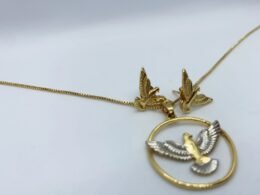 Colar e brinco Espírito Santo banhado no ouro.