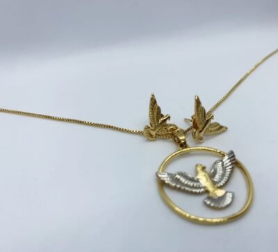 Colar e brinco Espírito Santo banhado no ouro.