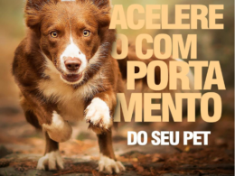 Ebook Mundo Pet Comportamento