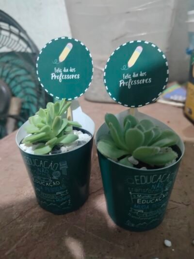 Lembrancinha personalizada com suculentas - Imagem 8