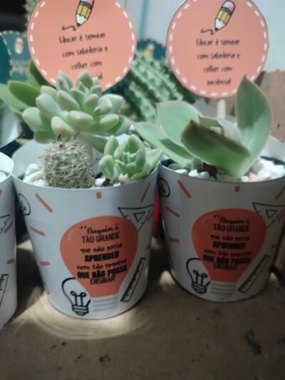 Lembrancinha personalizada com suculentas - Imagem 10