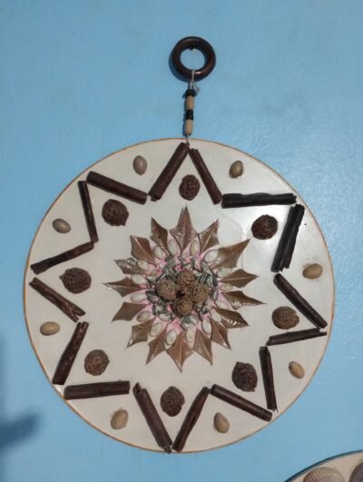 Mandalas naturais - Imagem 7