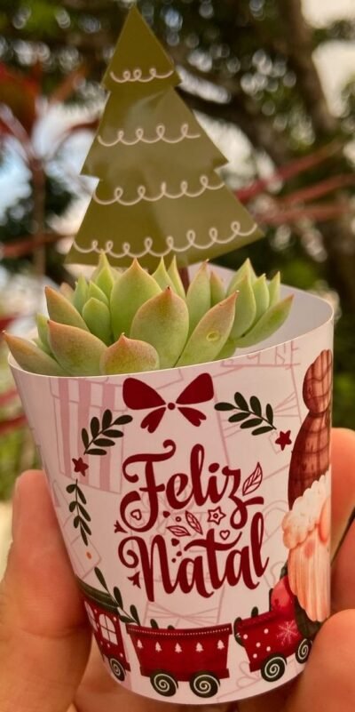 Lembrancinha personalizada com suculentas - Imagem 15